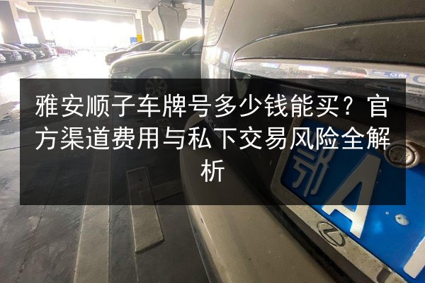 雅安顺子车牌号多少钱能买？官方渠道费用与私下交易风险全解析 第2张