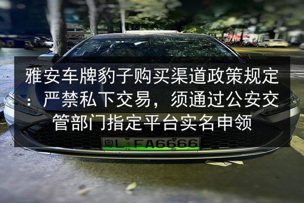 雅安车牌豹子购买渠道政策规定：严禁私下交易，须通过公安交管部门指定平台实名申领 第2张