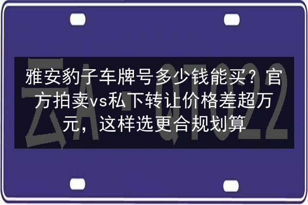 雅安豹子车牌号多少钱能买?官方拍卖vs私下转让价格差超万元,这样选更合规划算 第3张 雅安豹子车牌号多少钱能买?官方拍卖vs私下转让价格差超万元,这样选更合规划算 第3张