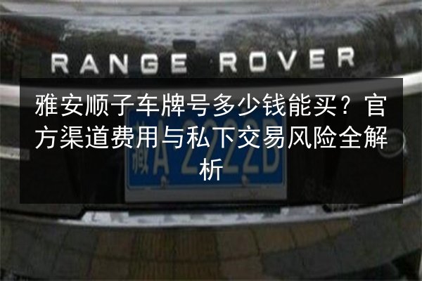 雅安顺子车牌号多少钱能买？官方渠道费用与私下交易风险全解析 第3张