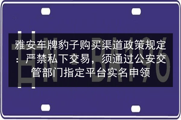 雅安车牌豹子购买渠道政策规定：严禁私下交易，须通过公安交管部门指定平台实名申领 第3张