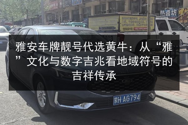 雅安车牌靓号代选黄牛：从“雅”文化与数字吉兆看地域符号的吉祥传承 第2张
