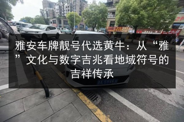 雅安车牌靓号代选黄牛：从“雅”文化与数字吉兆看地域符号的吉祥传承 第3张