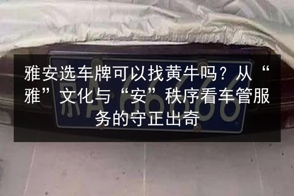 雅安选车牌可以找黄牛吗?从“雅”文化与“安”秩序看车管服务的守正出奇 第2张 雅安选车牌可以找黄牛吗?从“雅”文化与“安”秩序看车管服务的守正出奇 第2张