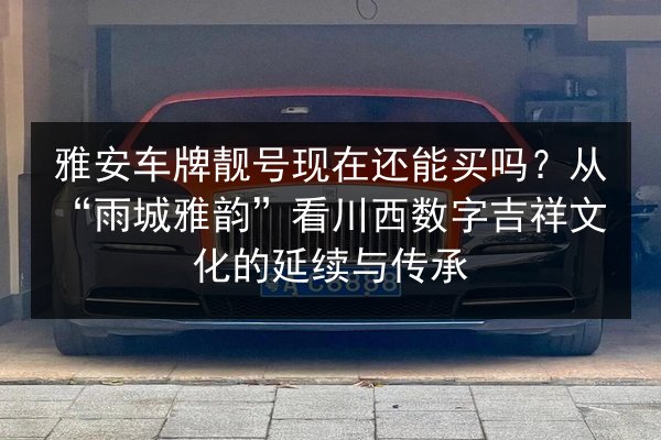 雅安车牌靓号现在还能买吗？从“雨城雅韵”看川西数字吉祥文化的延续与传承 第2张
