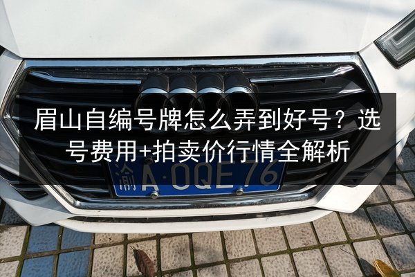 眉山自编号牌怎么弄到好号？选号费用+拍卖价行情全解析 第2张
