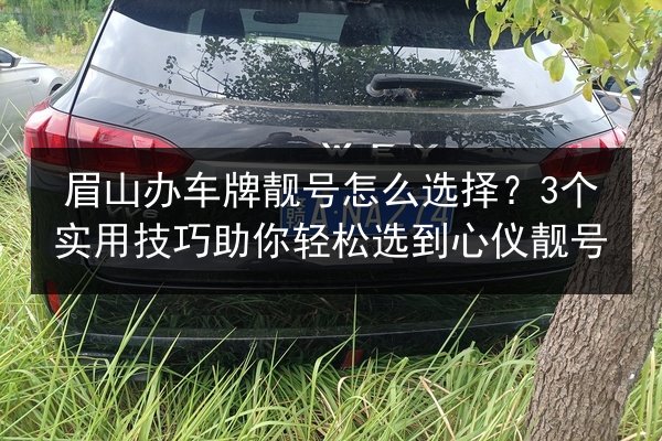 眉山办车牌靓号怎么选择?3个实用技巧助你轻松选到心仪靓号 第2张 眉山办车牌靓号怎么选择?3个实用技巧助你轻松选到心仪靓号 第2张