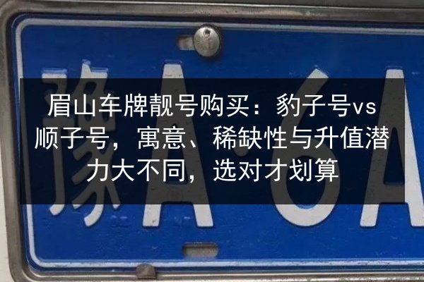 眉山车牌靓号购买：豹子号vs顺子号，寓意、稀缺性与升值潜力大不同，选对才划算 第2张