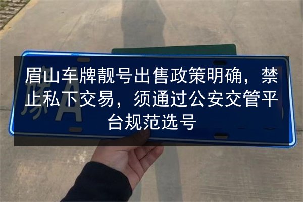眉山车牌靓号出售政策明确,禁止私下交易,须通过公安交管平台规范选号 第3张 眉山车牌靓号出售政策明确,禁止私下交易,须通过公安交管平台规范选号 第3张