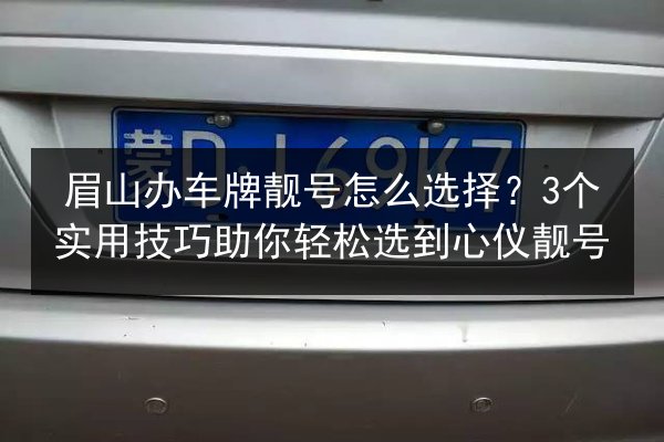 眉山办车牌靓号怎么选择?3个实用技巧助你轻松选到心仪靓号 第3张 眉山办车牌靓号怎么选择?3个实用技巧助你轻松选到心仪靓号 第3张