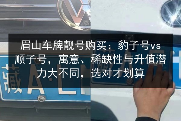 眉山车牌靓号购买：豹子号vs顺子号，寓意、稀缺性与升值潜力大不同，选对才划算 第3张