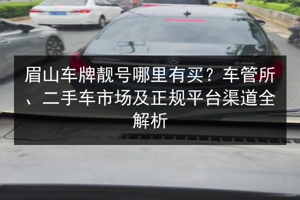 眉山车牌靓号哪里有买？车管所、二手车市场及正规平台渠道全解析 第3张
