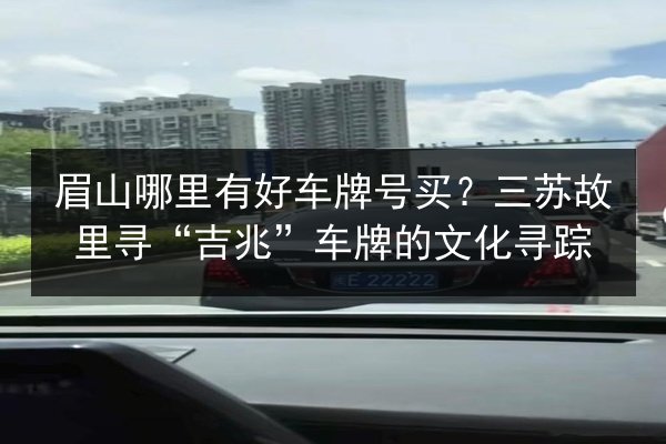眉山哪里有好车牌号买？三苏故里寻“吉兆”车牌的文化寻踪 第3张