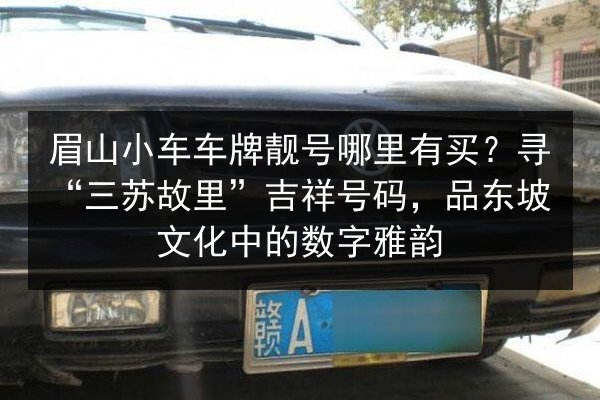 眉山小车车牌靓号哪里有买?寻“三苏故里”吉祥号码,品东坡文化中的数字雅韵 第1张 眉山小车车牌靓号哪里有买?寻“三苏故里”吉祥号码,品东坡文化中的数字雅韵 第1张