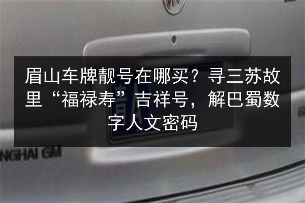 眉山车牌靓号在哪买?寻三苏故里“福禄寿”吉祥号,解巴蜀数字人文密码 第2张 眉山车牌靓号在哪买?寻三苏故里“福禄寿”吉祥号,解巴蜀数字人文密码 第2张