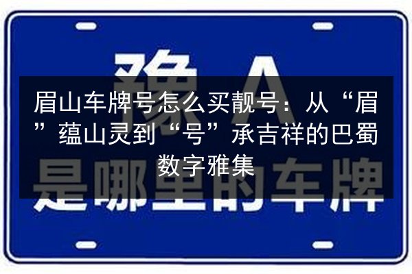 眉山车牌号怎么买靓号：从“眉”蕴山灵到“号”承吉祥的巴蜀数字雅集