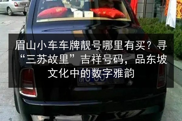 眉山小车车牌靓号哪里有买?寻“三苏故里”吉祥号码,品东坡文化中的数字雅韵 第2张 眉山小车车牌靓号哪里有买?寻“三苏故里”吉祥号码,品东坡文化中的数字雅韵 第2张