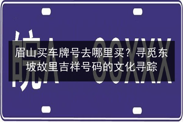 眉山买车牌号去哪里买？寻觅东坡故里吉祥号码的文化寻踪 第2张