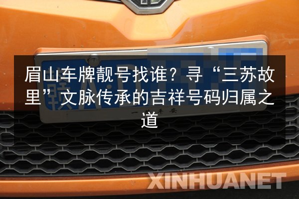 眉山车牌靓号找谁？寻“三苏故里”文脉传承的吉祥号码归属之道 第2张