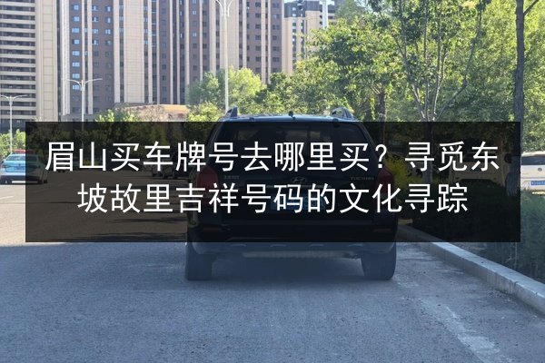 眉山买车牌号去哪里买？寻觅东坡故里吉祥号码的文化寻踪 第3张