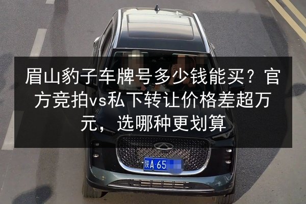 眉山豹子车牌号多少钱能买?官方竞拍vs私下转让价格差超万元,选哪种更划算 第2张 眉山豹子车牌号多少钱能买?官方竞拍vs私下转让价格差超万元,选哪种更划算 第2张