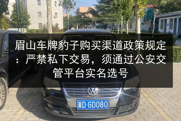 眉山车牌豹子购买渠道政策规定：严禁私下交易，须通过公安交管平台实名选号 第2张