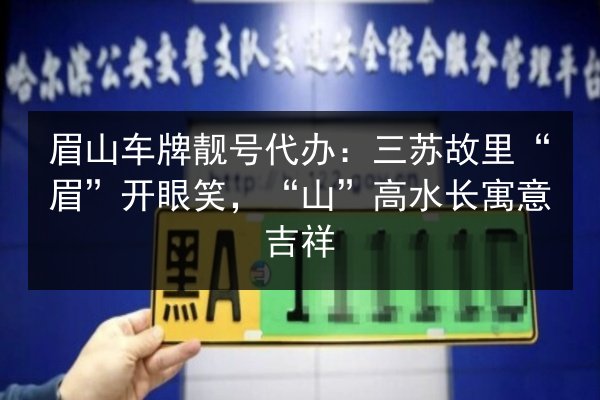 眉山车牌靓号代办:三苏故里“眉”开眼笑,“山”高水长寓意吉祥 第2张 眉山车牌靓号代办:三苏故里“眉”开眼笑,“山”高水长寓意吉祥 第2张