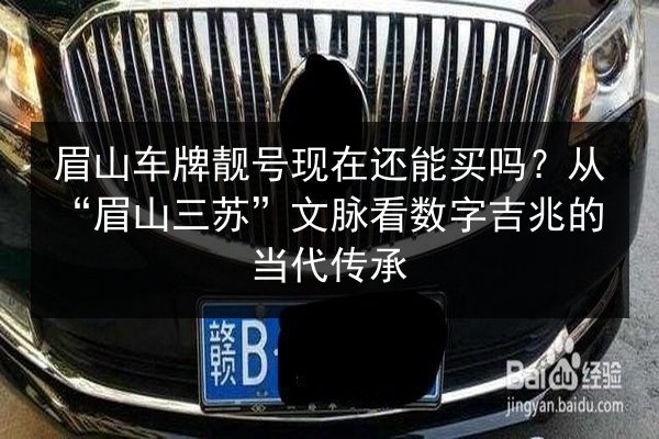 眉山车牌靓号现在还能买吗?从“眉山三苏”文脉看数字吉兆的当代传承 第2张 眉山车牌靓号现在还能买吗?从“眉山三苏”文脉看数字吉兆的当代传承 第2张