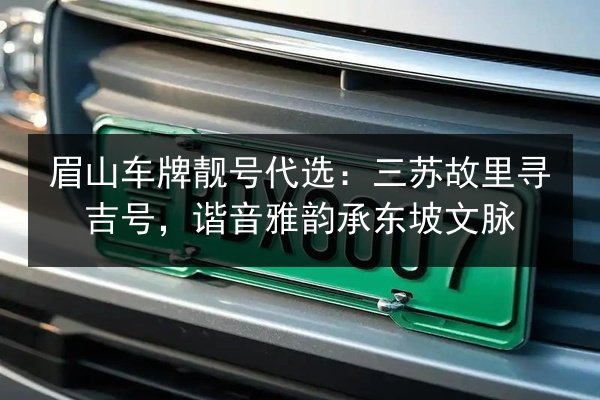 眉山车牌靓号代选:三苏故里寻吉号,谐音雅韵承东坡文脉 第2张 眉山车牌靓号代选:三苏故里寻吉号,谐音雅韵承东坡文脉 第2张
