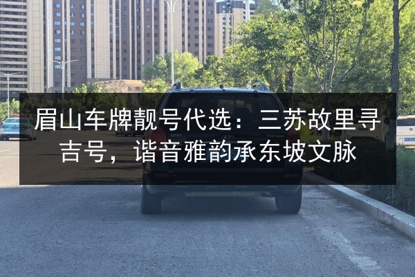 眉山车牌靓号代选:三苏故里寻吉号,谐音雅韵承东坡文脉 第3张 眉山车牌靓号代选:三苏故里寻吉号,谐音雅韵承东坡文脉 第3张
