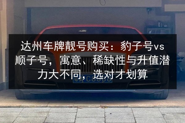 达州车牌靓号购买:豹子号vs顺子号,寓意、稀缺性与升值潜力大不同,选对才划算 第3张 达州车牌靓号购买:豹子号vs顺子号,寓意、稀缺性与升值潜力大不同,选对才划算 第3张