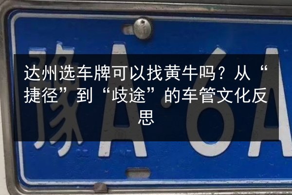 达州选车牌可以找黄牛吗？从“捷径”到“歧途”的车管文化反思 第2张