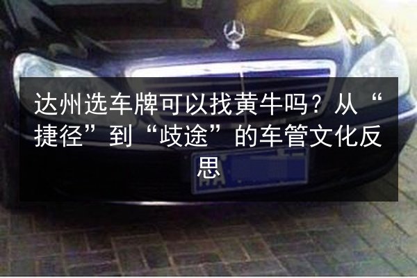 达州选车牌可以找黄牛吗？从“捷径”到“歧途”的车管文化反思 第3张