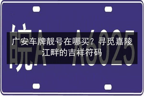 广安车牌靓号在哪买？寻觅嘉陵江畔的吉祥符码 第2张