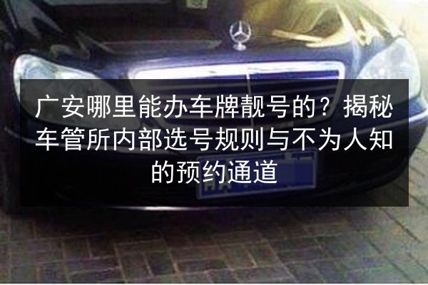 广安哪里能办车牌靓号的?揭秘车管所内部选号规则与不为人知的预约通道 第3张 广安哪里能办车牌靓号的?揭秘车管所内部选号规则与不为人知的预约通道 第3张