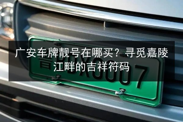 广安车牌靓号在哪买？寻觅嘉陵江畔的吉祥符码 第3张