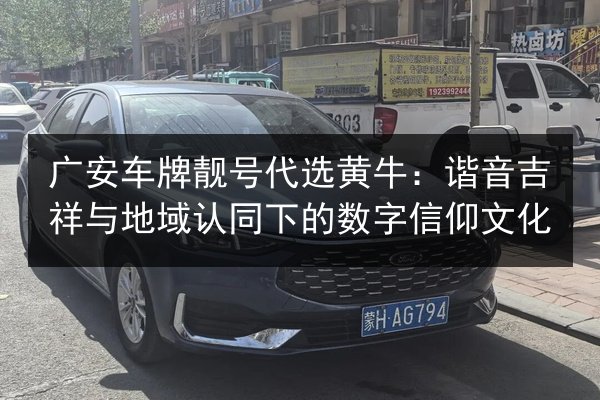 广安车牌靓号代选黄牛:谐音吉祥与地域认同下的数字信仰文化 第2张 广安车牌靓号代选黄牛:谐音吉祥与地域认同下的数字信仰文化 第2张