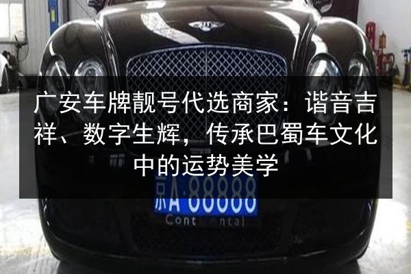 广安车牌靓号代选商家:谐音吉祥、数字生辉,传承巴蜀车文化中的运势美学 第3张 广安车牌靓号代选商家:谐音吉祥、数字生辉,传承巴蜀车文化中的运势美学 第3张