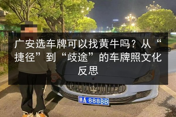 广安选车牌可以找黄牛吗？从“捷径”到“歧途”的车牌照文化反思 第2张
