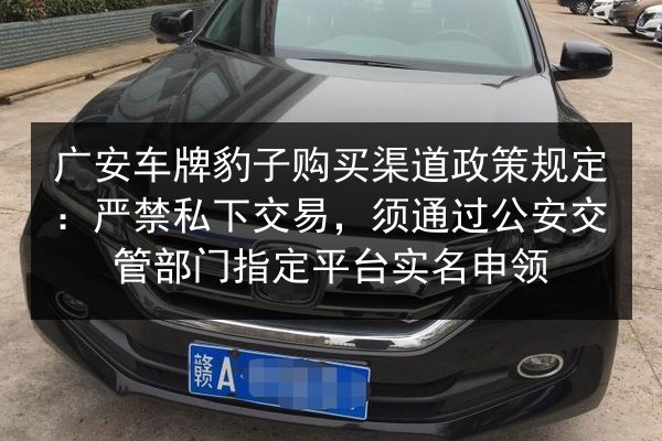 广安车牌豹子购买渠道政策规定：严禁私下交易，须通过公安交管部门指定平台实名申领 第3张