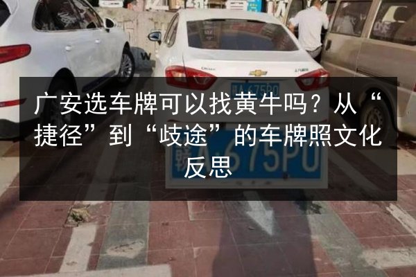 广安选车牌可以找黄牛吗？从“捷径”到“歧途”的车牌照文化反思 第3张
