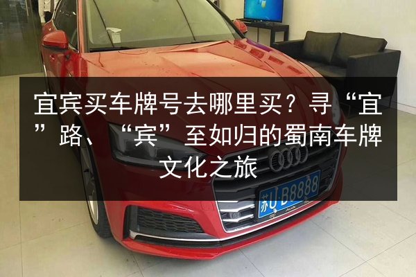 宜宾买车牌号去哪里买？寻“宜”路、“宾”至如归的蜀南车牌文化之旅 第2张