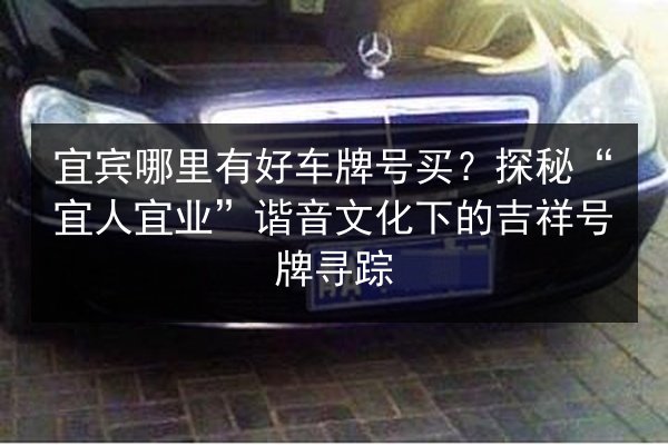 宜宾哪里有好车牌号买?探秘“宜人宜业”谐音文化下的吉祥号牌寻踪 第3张 宜宾哪里有好车牌号买?探秘“宜人宜业”谐音文化下的吉祥号牌寻踪 第3张