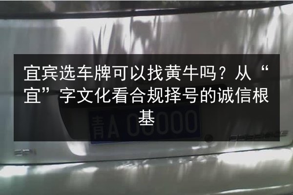 宜宾选车牌可以找黄牛吗？从“宜”字文化看合规择号的诚信根基 第2张