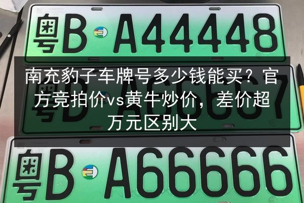 南充豹子车牌号多少钱能买?官方竞拍价vs黄牛炒价,差价超万元区别大 第1张 南充豹子车牌号多少钱能买?官方竞拍价vs黄牛炒价,差价超万元区别大 第1张