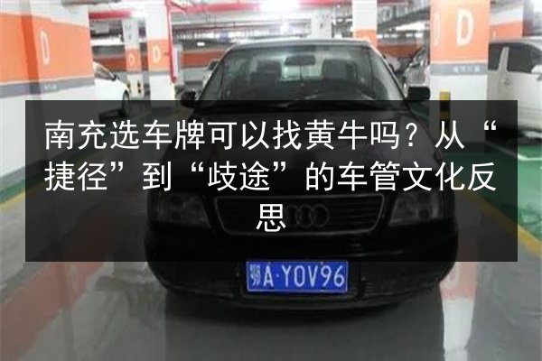 南充选车牌可以找黄牛吗?从“捷径”到“歧途”的车管文化反思 第2张 南充选车牌可以找黄牛吗?从“捷径”到“歧途”的车管文化反思 第2张