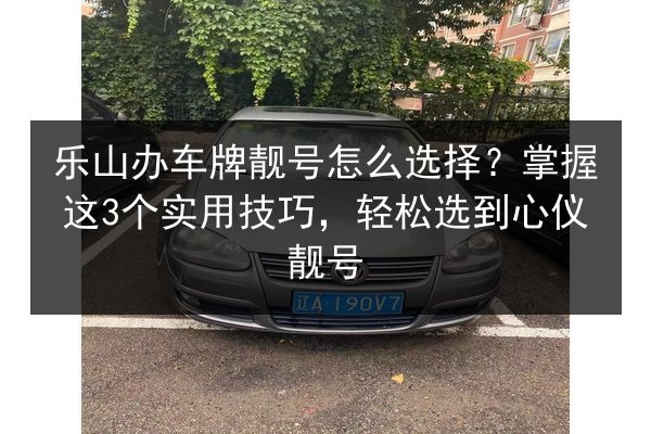 乐山办车牌靓号怎么选择?掌握这3个实用技巧,轻松选到心仪靓号 第1张 乐山办车牌靓号怎么选择?掌握这3个实用技巧,轻松选到心仪靓号 第1张