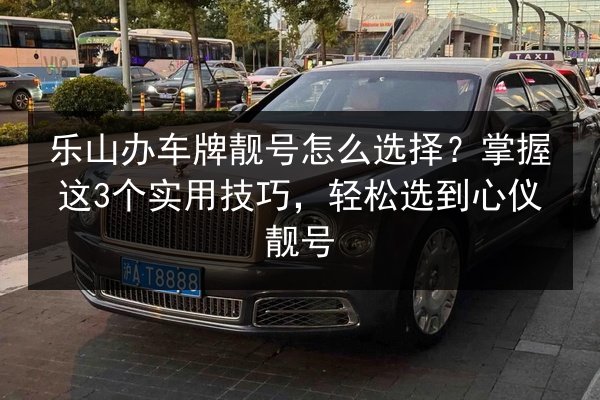 乐山办车牌靓号怎么选择?掌握这3个实用技巧,轻松选到心仪靓号 第2张 乐山办车牌靓号怎么选择?掌握这3个实用技巧,轻松选到心仪靓号 第2张