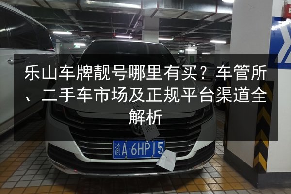 乐山车牌靓号哪里有买？车管所、二手车市场及正规平台渠道全解析 第2张