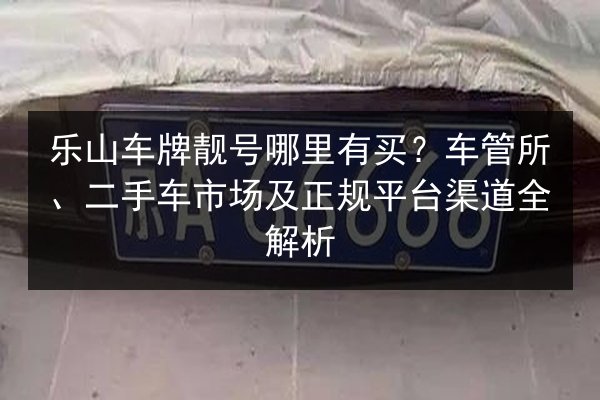 乐山车牌靓号哪里有买？车管所、二手车市场及正规平台渠道全解析 第3张